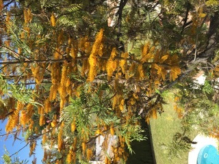 Etxea salgai in Cerrado de Calderón (Málaga)